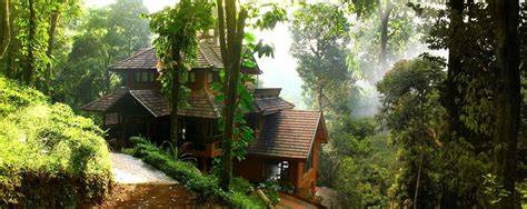 About and history of our forest stay (Homestay) in .